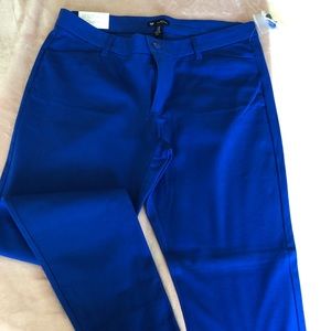 Blue Slim Fit Gap Pants